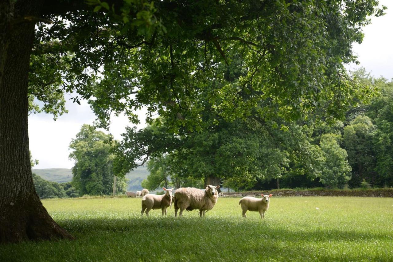 Old Leckie Farmstay สเตอร์ลิง ภายนอก รูปภาพ